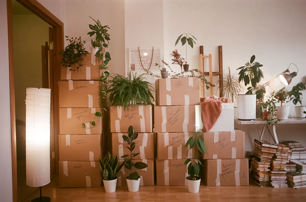 London Removals Co. case study