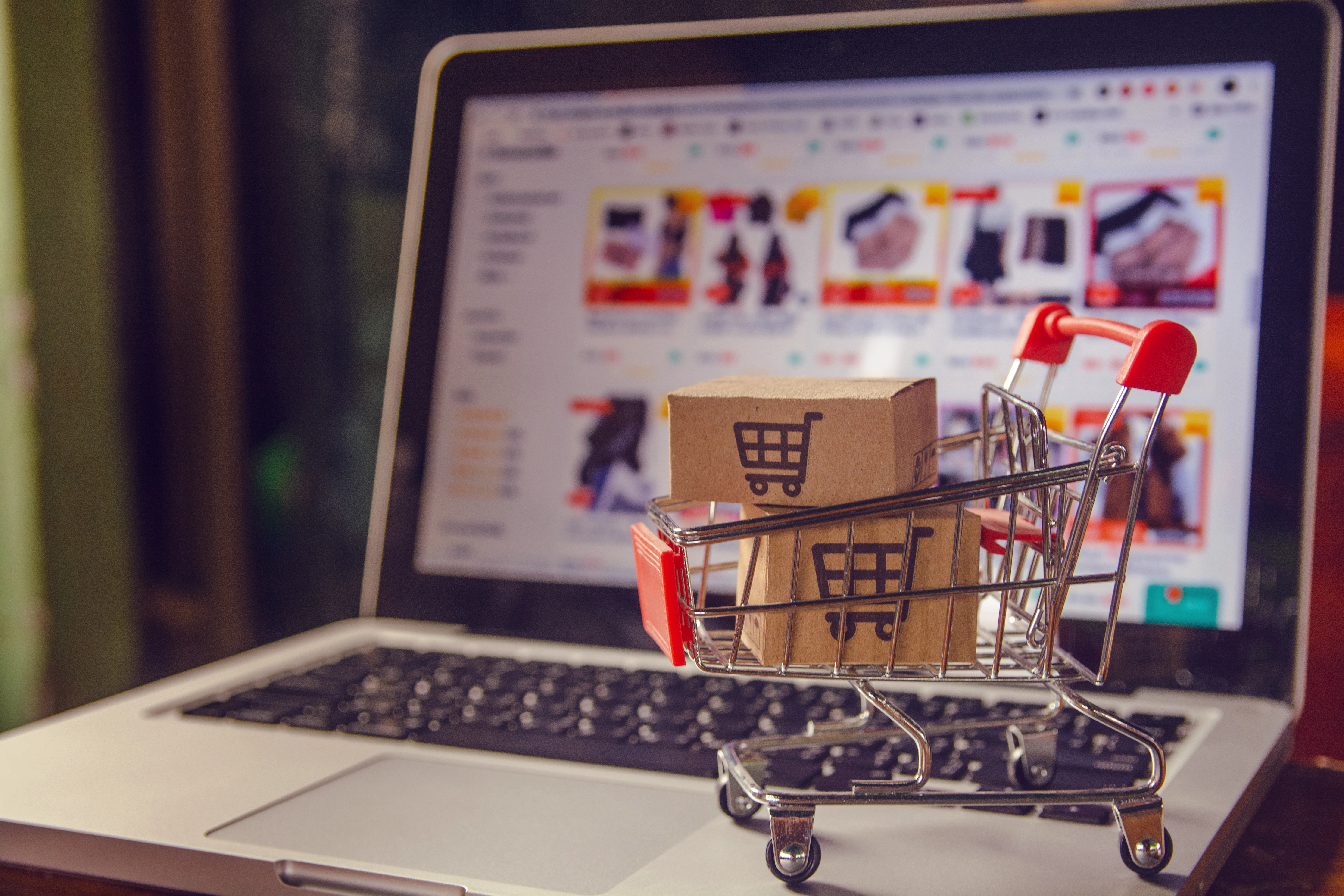 Digital Marketing Services